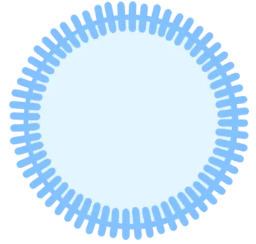 Icon representing a lipid nanoparticle with cargo inside