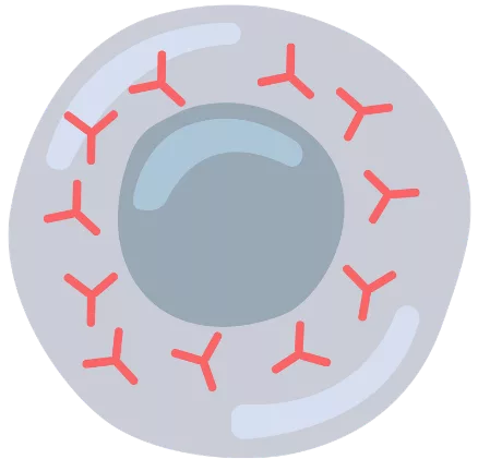 Icon representing a lipid molecule with a surface modification