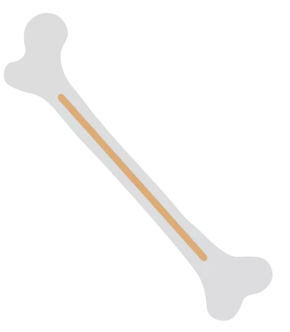 Icon representing lipid molecules