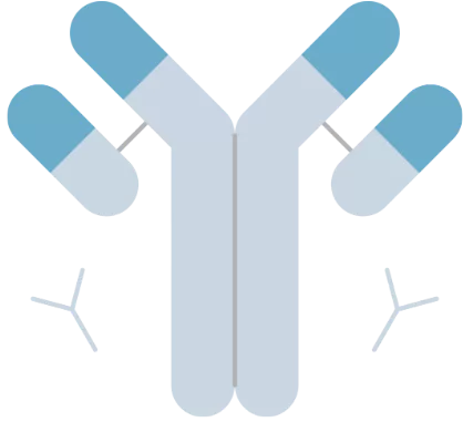 Icon representing a lipid molecule with a surface modification