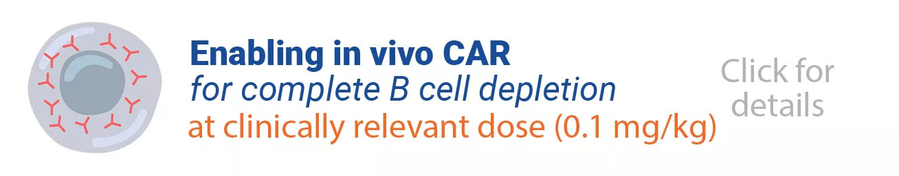 Icon of an RNA strand next to the words "mRNA modifications: increased translation and specificity"